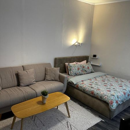 1 Bedroom Apartment Near Kadriorg Swan Pond 탈린 외부 사진
