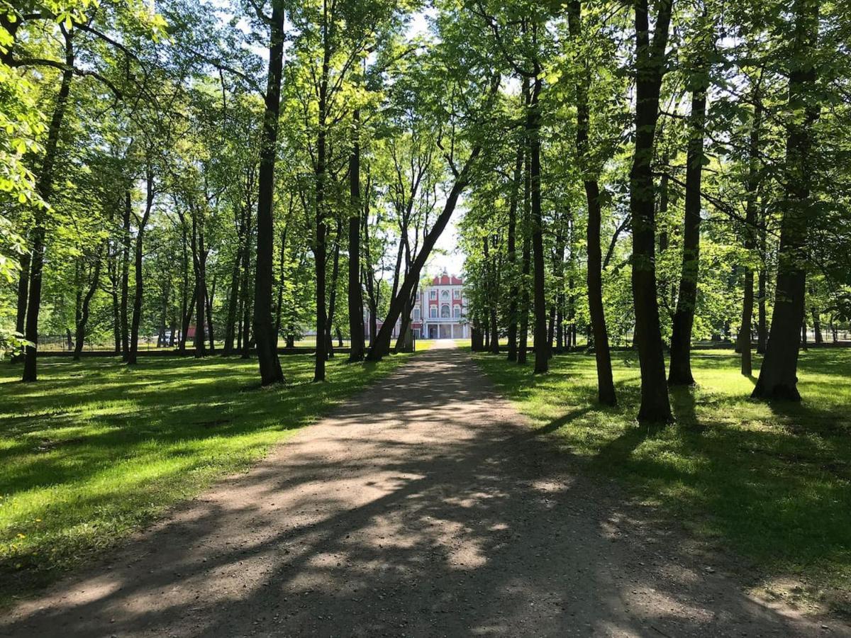 1 Bedroom Apartment Near Kadriorg Swan Pond 탈린 외부 사진